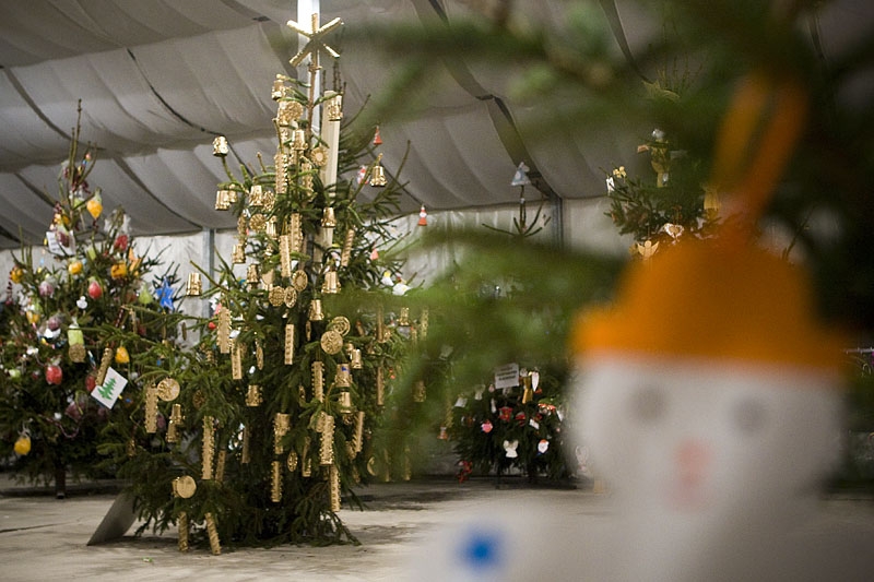 choinki-wieczernik-konkurs-1