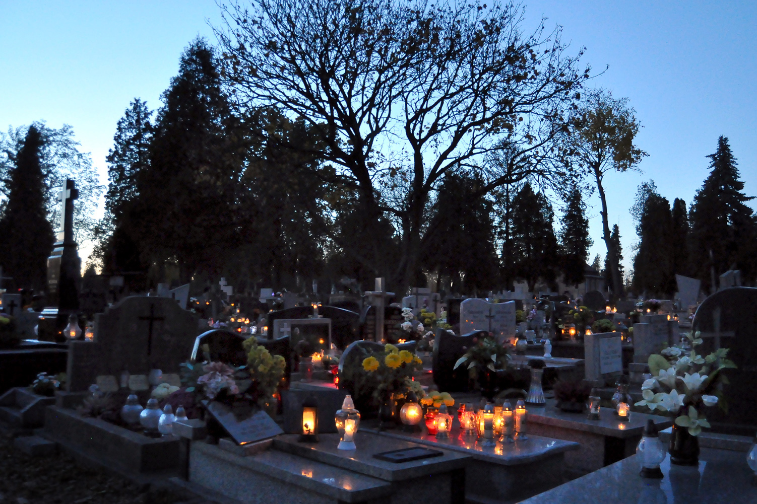 cmentarz-wszystkich-swietych-01