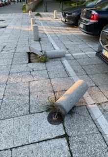 slupki