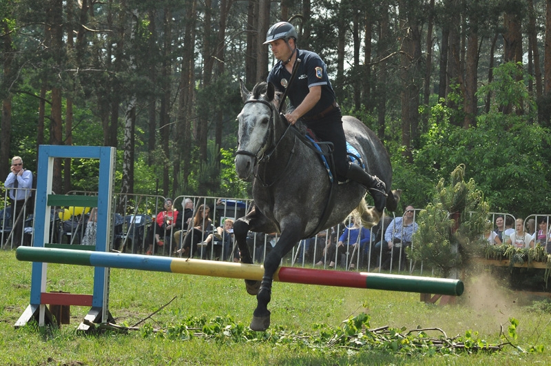turniej-policji-konnej