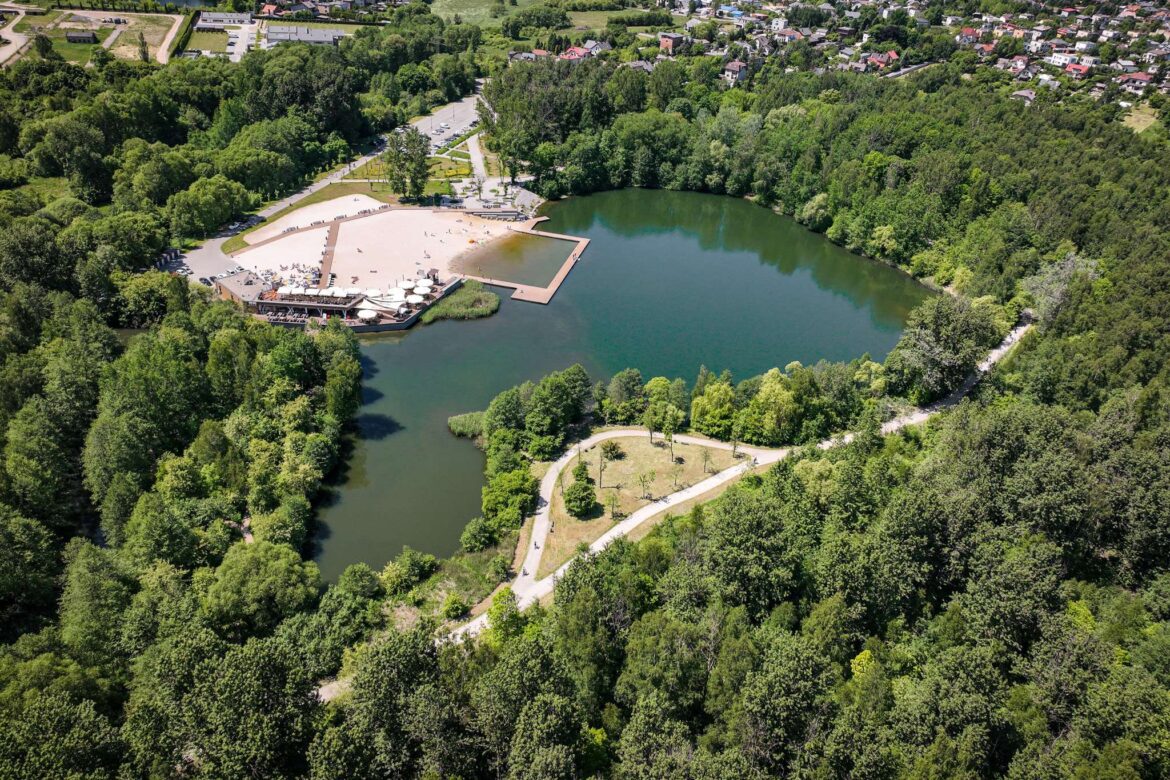 zieleń miejska – lisiniec