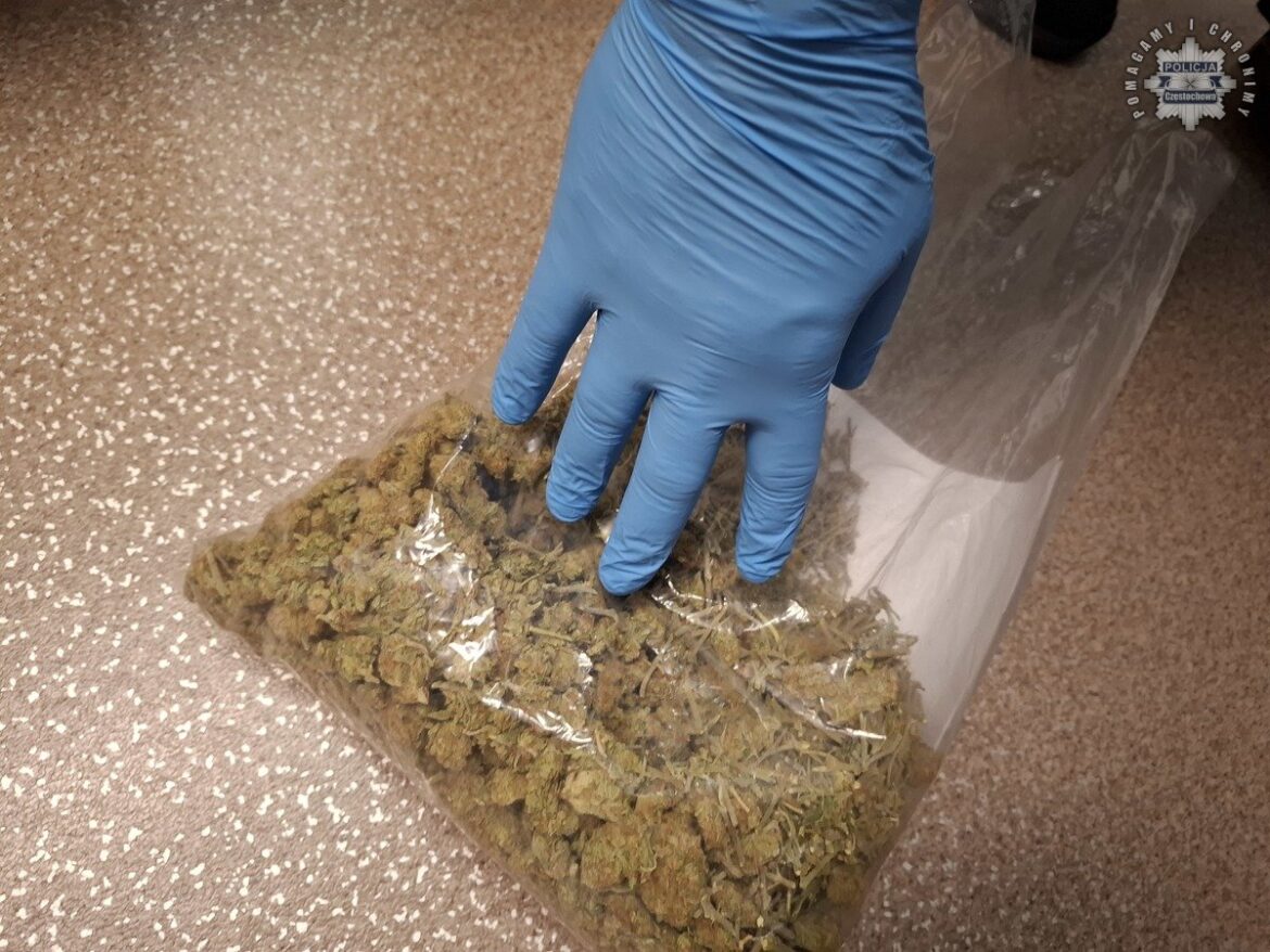 marihuana
